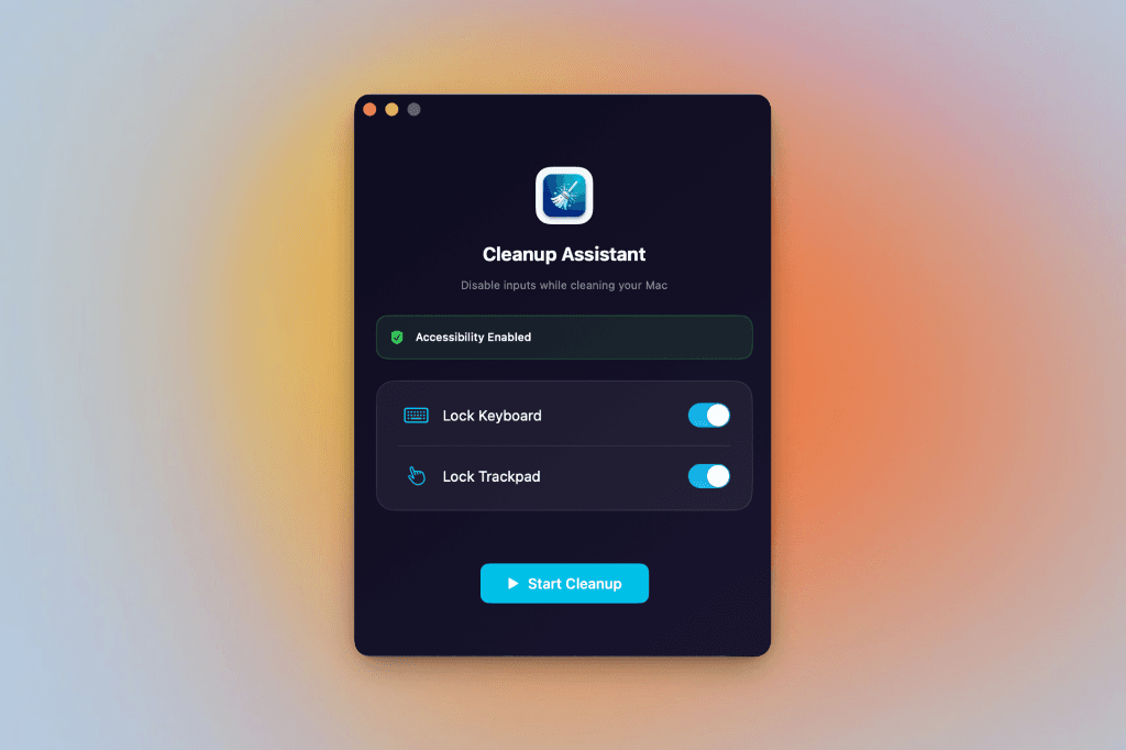 Cleanup Assistant App Interface